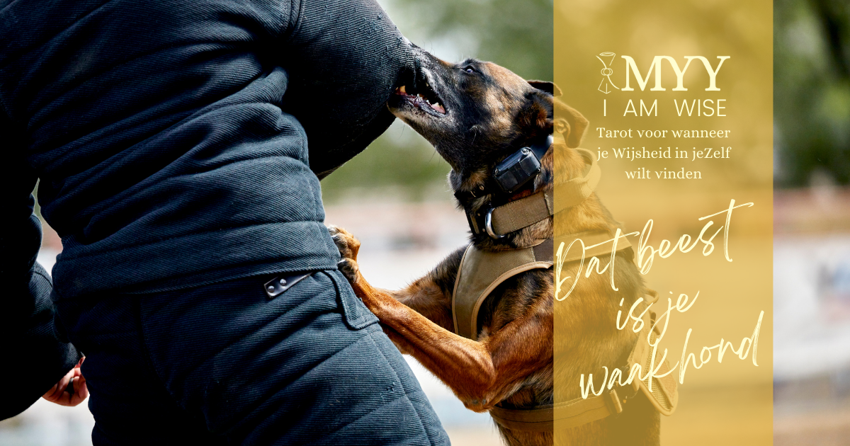 Dat beest is je waakhond!