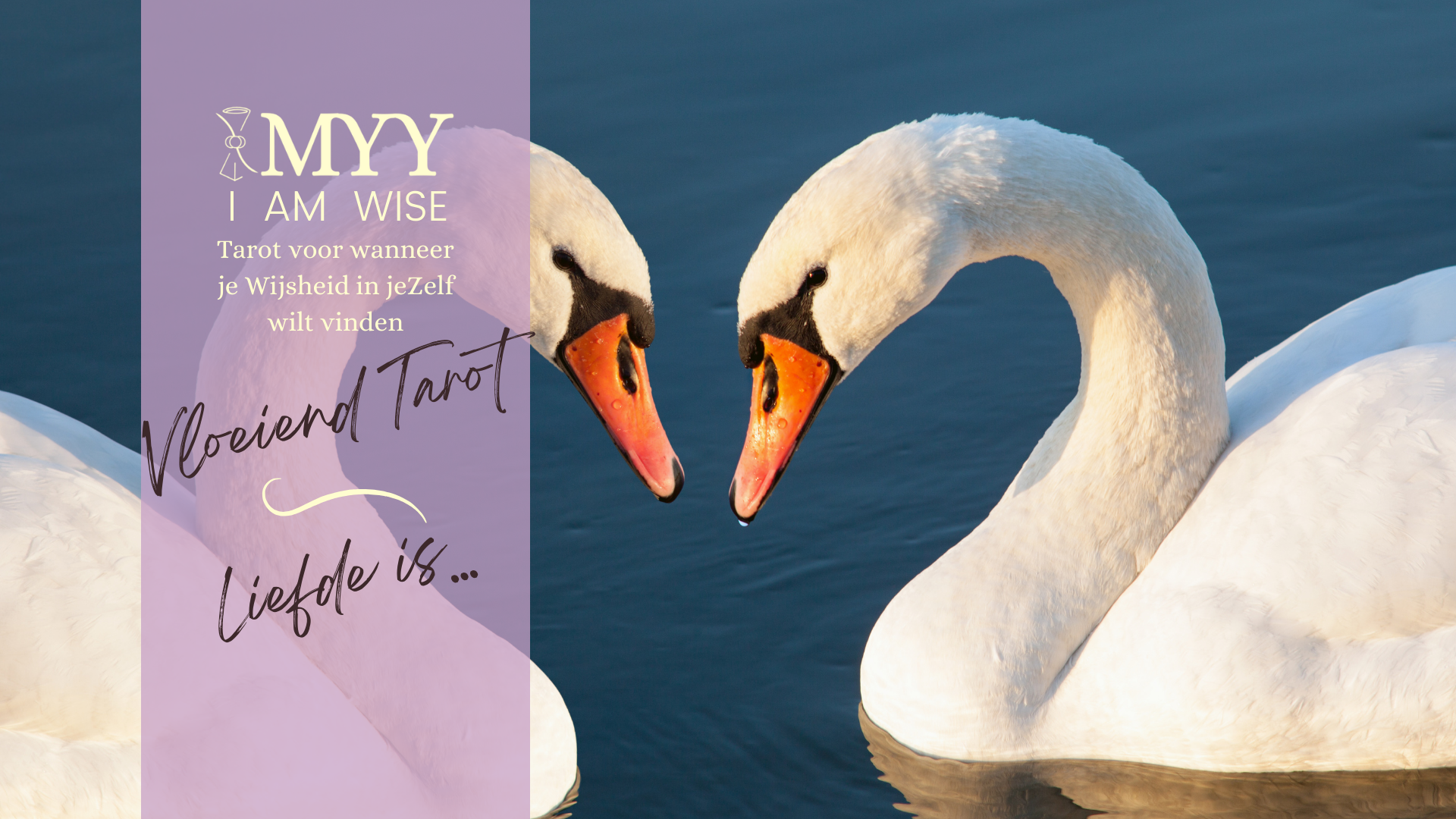 In de Vloeiend Tarot sessies, de Tarot workshop die IMYY elke tweede vrijdag van de maand organiseert, ontdek je elke keer een nieuw patroon!