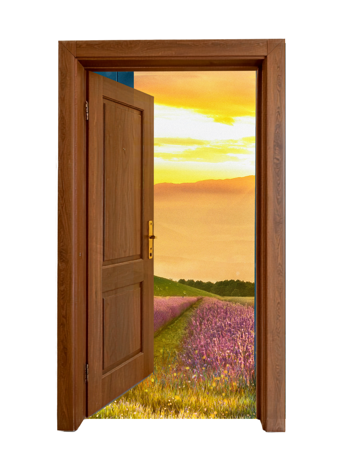 deur tarot terra