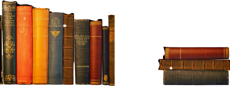 studeerkamer boekenplank 2